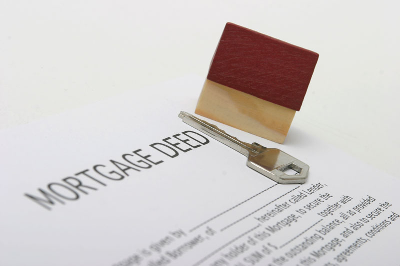 bankruptcy automatic stay definition legal bankruptcy automatic stay definition legal